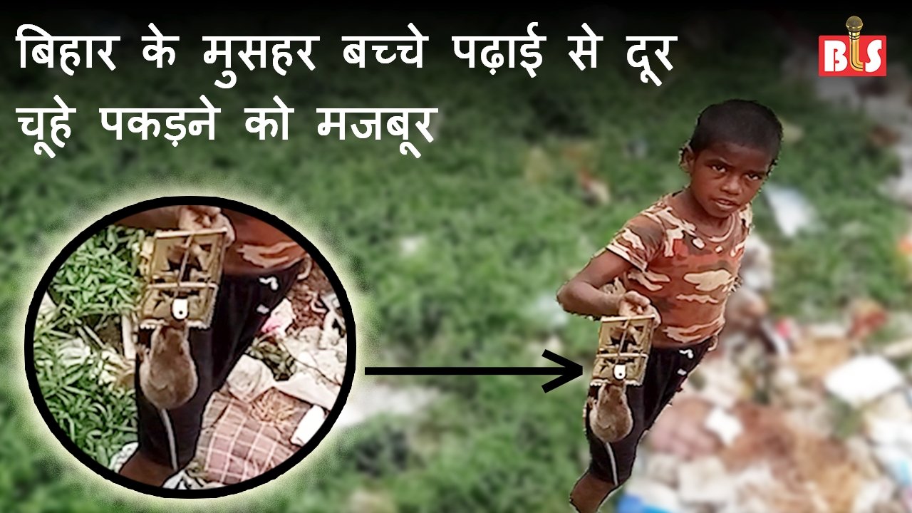 बिहार के मुसहर बच्चे पढ़ाई से दूर चूहे पकड़ने को मजबूर