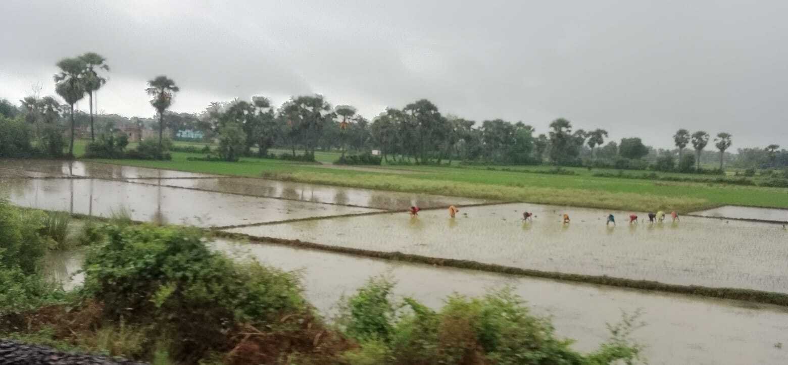 छपी-अनछपी: मोदी के तंज़ पर खड़गे बोले- इंडिया के लिए कटु शब्द निकाल रहे, आज भारी बारिश मुमकिन
